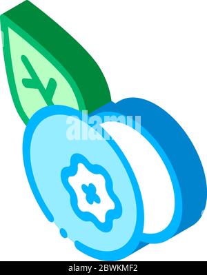 Healthy Food Fruit Blueberry isometric icon vector illustration Stock Vector