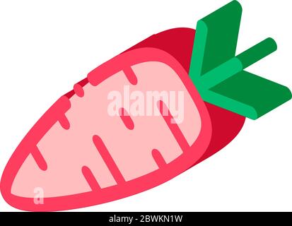 Healthy Food Vegetable Carrot isometric icon vector illustration Stock Vector