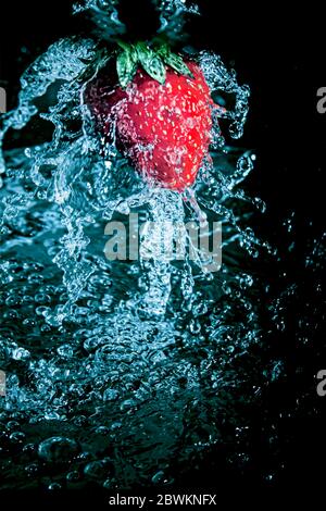 Ripe juicy strawberries in splashes of water on a black background. Stock Photo