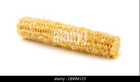 Fully eaten corn on the cob isolated on white background Stock Photo