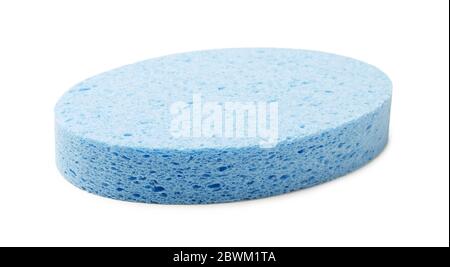 Oval blue cellulose facial sponge isolated on white background Stock Photo