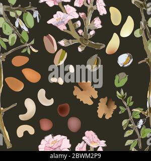 Blooming twigs and nuts of cedar, walnuts, brazil, hazelnuts, pistachios, almonds, cashews. Seamless vector illustration. Flowers and fruits nuts tree Stock Photo