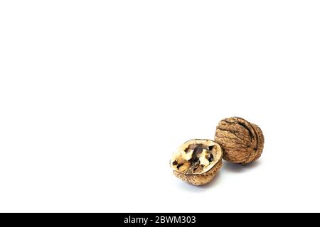 Opened walnut half and whole walnut on white background Stock Photo