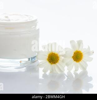 Moisturizing cream and chamomile on white background. Open glass container with camomile cosmetic for face and body. Closeup view. Stock Photo