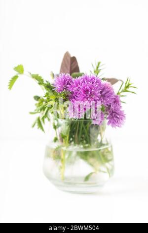 Herbal food concept chive blossoms and aromatic herbals in glass jar isolated on white background