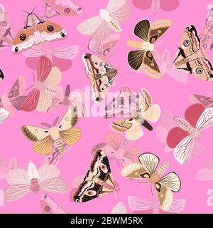 White moths on a pink color background. Seamless vector pattern with insects. Repeating square pattern for fabric and wallpaper. Stock Photo