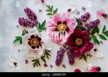 Floral arrangement with peonies and lilacs on a bright background Stock Photo