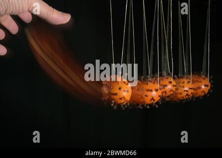 Hand is moving newton's cradle with coronavirus models, made from tangerines peppered with cloves, to illustrate how the infection is transmitted by c Stock Photo
