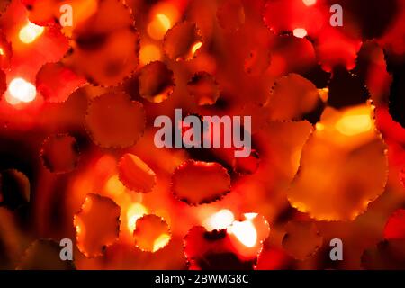 Abstract background with red tints splashes. Bubbles macro shot close-up Stock Photo