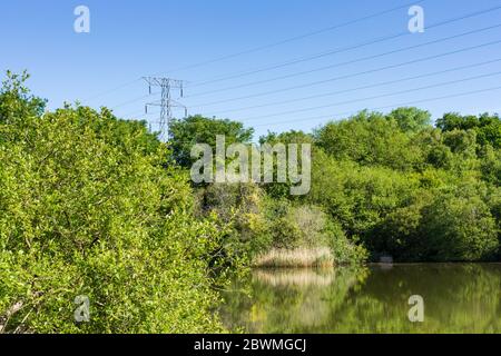 View of a lake and trees at Alder Hills Nature Reserve in Dorset, with electricity pylon & power lines Stock Photo