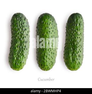 Set of fresh cucumber isolated on white background, top view Stock Photo