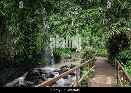 The beautiful Tibumana Waterfall (air terjun Tebumana) near Ubud