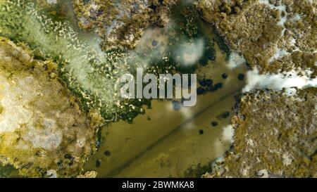 Aerial top-down view on abstract forms and shapes created by Totora reed plant and shallow waters of Lake Titicaca with reflections of clouds Stock Photo