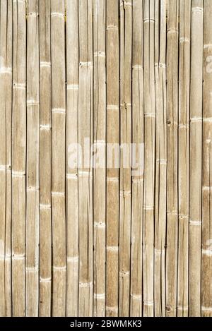 White bamboo fence background, bamboo plank fence texture Stock Photo