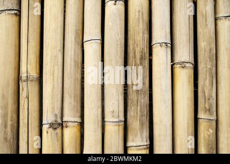White bamboo fence background, bamboo plank fence texture Stock Photo