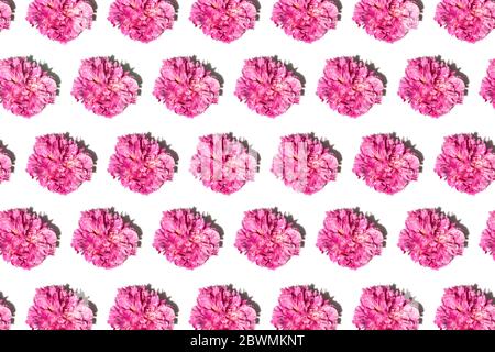 Pattern made from fresh beautiful peony flower isolated on white background. Stock Photo