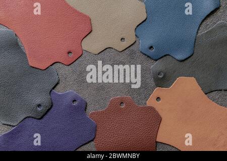 Multicolored leather samples on dark leather, abstract background, choice of colors, shades color. Top view Stock Photo