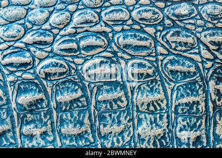 Texture of genuine leather close-up, embossed under the skin alligator, blue white color print, trendy backgroun Stock Photo