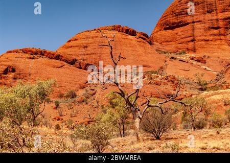 KATA TJUTA / THE OLGAS, NORTHERN TERRITORIES, AUSTRALIA Stock Photo