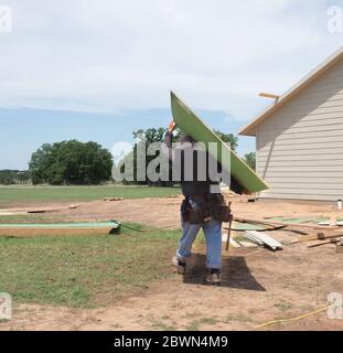 Construction worker carrying a sheet of  OSB on a new house build. Stock Photo