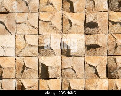 The texture of wooden wall made from coconut shell bottom cut in a square shape. Stock Photo