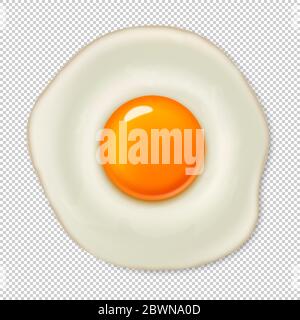 Realistic vector fried egg icon isolated on transparent background. Design template. Stock Vector