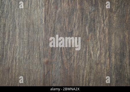 Texture of bark wood, can be use as natural background Stock Photo