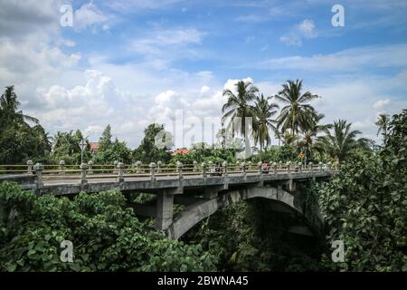 Coconut palms growing along the road at sunny day. Tropical mood. Destination holidays. Bali, Indonesia Stock Photo