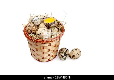 Quail eggs in a basket with hay, and beside it on a white background. Stock Photo