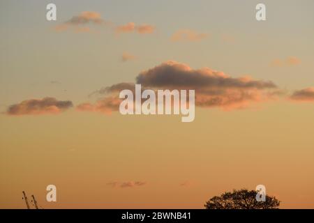 View of the Tops of Two Cranes and a Tree Against a Pastel Pink Sky Stock Photo