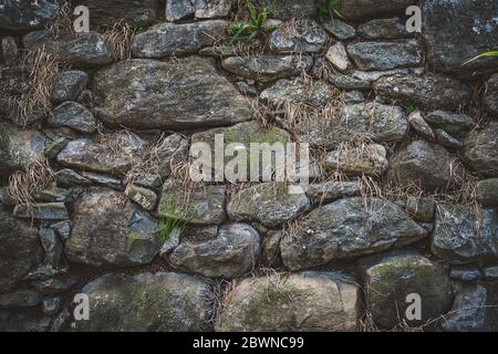 Old natural stone wall with green and dry vegetation growing among the rocks Stock Photo