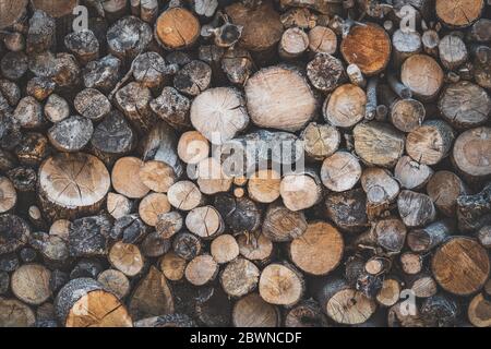 Detail of stacked wooden logs prepared to be used as firewood Stock Photo