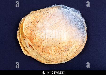 Spoiled moldy pancake, food gone bad concept. Fungal mold spores growing on round pastry surface on dark background. Edibles, products expiration date Stock Photo
