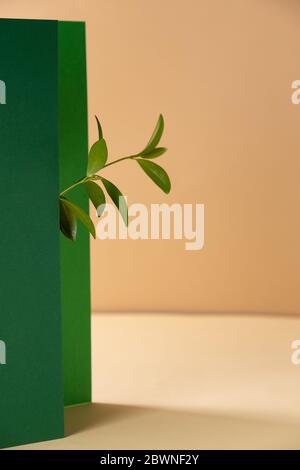 Asymmetric, abstract geometric background with a plant Stock Photo