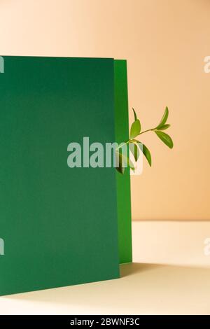 Asymmetric, abstract geometric background with a plant Stock Photo