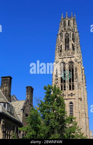 Harkness Tower, Yale University, New Haven, Connecticut, USA Stock Photo