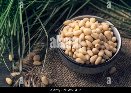 Cedar pine nuts in a wooden spoon Stock Photo