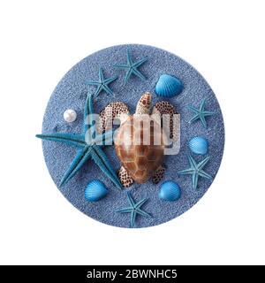 World oceans day background with shells, starfishes and turtle on blue sand. Top view. Stock Photo