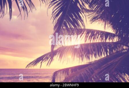Blurred coconut palm tree leaves silhouettes at sunset, summer vacation background, color toning applied. Stock Photo
