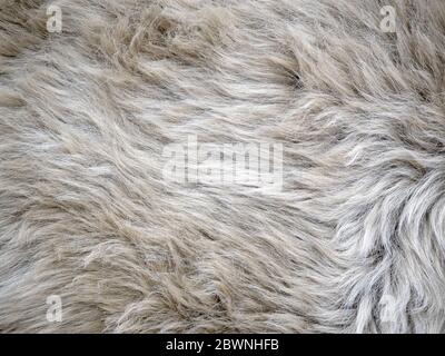 Wool background. Faux fur detail, top view, close up Stock Photo