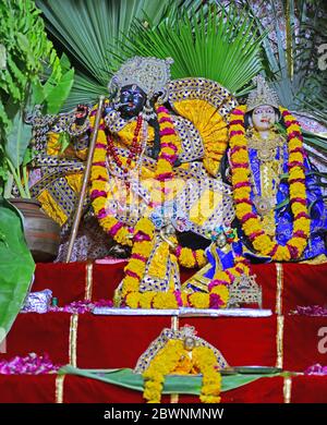 Beawar, Rajasthan, India - June 2, 2020: Lord Krishna and Goddess Radha inside Banke Bihari temple decorated as garden with green tree on the ocassion of Nirjala Ekadashi, during ongoing COVID-19 nationwide lockdown in Beawar. Credit: Sumit Saraswat/Alamy Live News Stock Photo