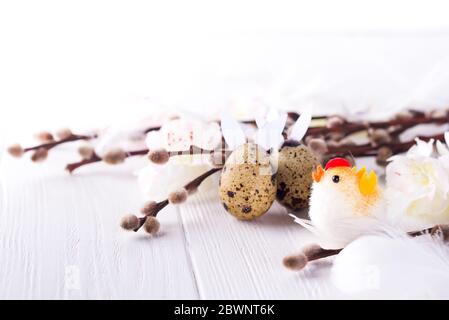 quail eggs and branches seals on white wood background, Easter decorations. Stock Photo