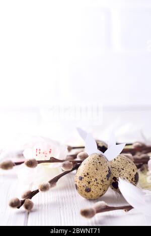 quail eggs and branches seals on white wood background, Easter decorations. Stock Photo