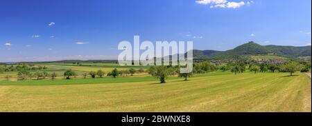 Panoramic view over meadows to Neuffen with the Burg Hohenneuffen castle in summer Stock Photo