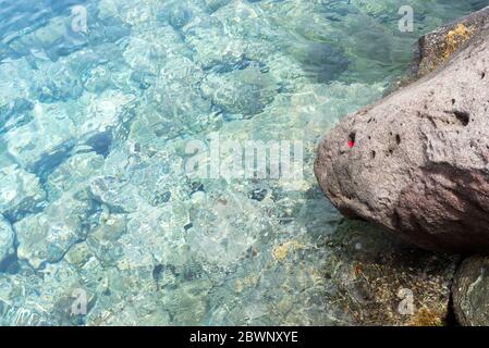 Sea background, ripple surface of transparent water, view of colorful stones bottom underwater Stock Photo