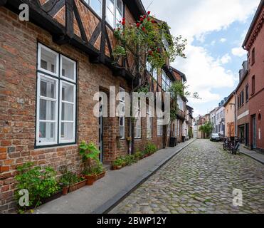 Typical narrow alley with residential buildings and pottet flowers on the sidewalk garden in the old town of the hanseatic city Luebeck, Germany, sele Stock Photo