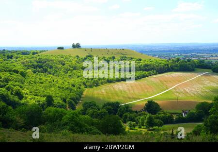 View across from Coombe Hill to Beacon Hill in the Chilterns Stock Photo