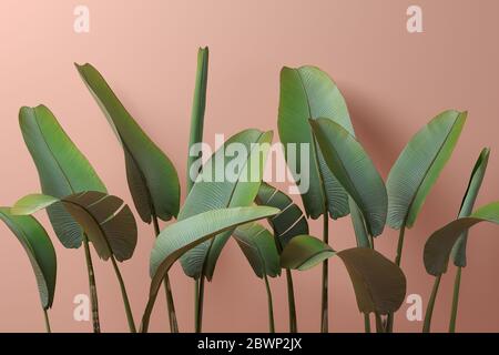 Banana leafs on pink background 3D illustration Stock Photo