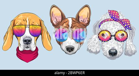 Set of hipster dogs in trendy multicolored mirror sunglasses and bow ties, Beagle, Basenji and Bedlington Terrier breed Stock Vector