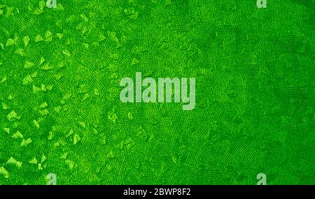 light green texture background for graphic design and web design Stock Photo